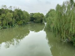 -同里国家湿地公园