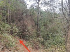 -东钱湖旅游度假区