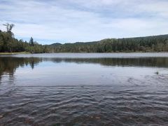 -五营红松林海景区