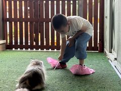 -楼上猫咖(罗湖店)