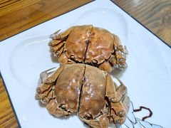 -呼吸森林·生态农庄农家乐私房菜