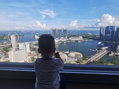 -新加坡瑞士史丹福酒店