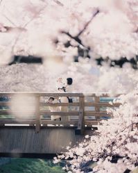 -倾城宝贝儿童摄影(浦东金谊店)