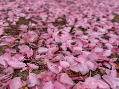 -蓝地时尚庄园(北京清河营地铁站店)