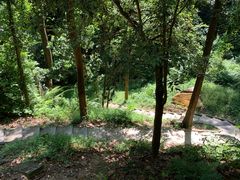 -火炉山森林公园