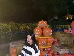 -七彩云南欢乐世界