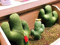 -炖物24章·顺时轻养茶(杭州保利时光里店)