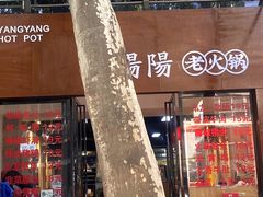 -阳阳老火锅(小南门店)