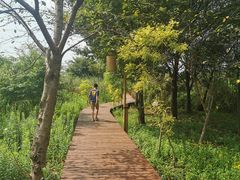 -梁鸿国家湿地公园