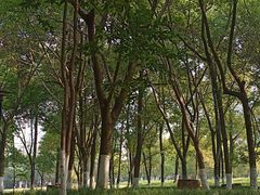 -塔子山公园