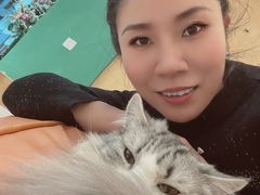 -飞行喵MR PILOT|猫舍·猫咖(静安大融城店)