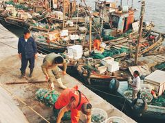 -青岛沙子口国家中心渔港