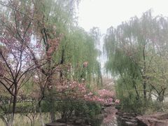 -范蠡湖公园