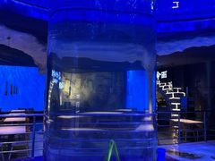 -上海海昌海洋公园-冰山北极馆