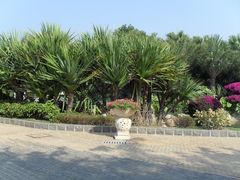 -厦门日月谷温泉渡假村
