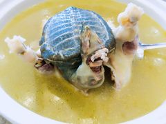 -半岛公馆(淞兴西路店)