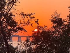 -宝安西湾红树林湿地公园