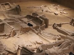 -洛阳周王城天子驾六博物馆