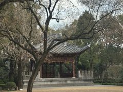-汇龙潭