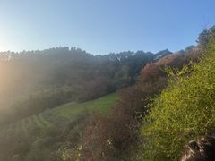 -敬亭山风景名胜区