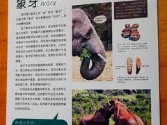 -太原动物园