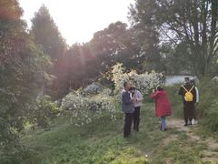 -西安青龙寺遗址景区