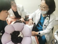 -美联众合动物医院·24h转诊中心