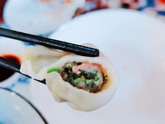 茴香猪肉水饺-东方饺子王(和平里店)