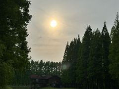 -黄海国家森林公园