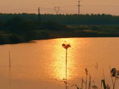 -南京金牛湖风景区