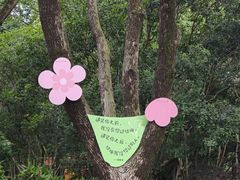-金鸡湖桃花岛