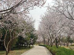 -北坞公园