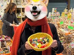 -佛罗伦萨中央市场