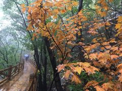 -赤山风景区