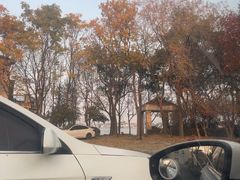 -江南雅厨(李公堤店)