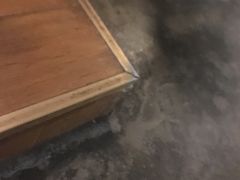 -萌喵宠狗爱心宠咖