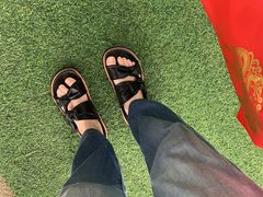 -宠物寄养训练学校