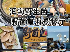 -野菌皇海景野生菌火锅(滨海大道店)
