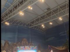 -青岛东方影都融创水世界