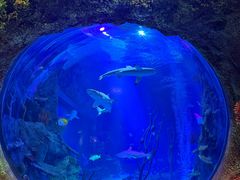 -沈阳海洋探索中心