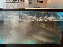 -鱼酷活鱼烤鱼(静安大融城店)