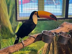 -海合安武汉极地海洋公园