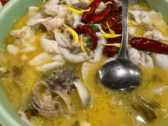 -新白鹿餐厅(城西银泰城店)