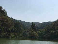 -桂林古东瀑布景区