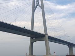 -招商蛇口邮轮母港(观光客运)