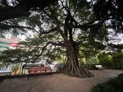 -九龙公园