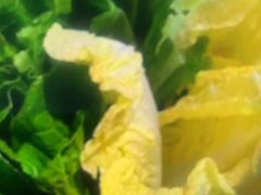 -木王宴语·野生鲜菌火锅(玉河店)