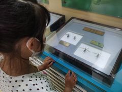 -上海昆虫博物馆