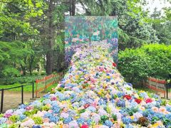 -上海共青森林公园