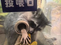 -大连圣亚海洋世界